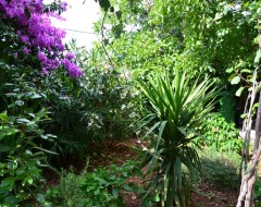 Ap.1 Bungalo garden
