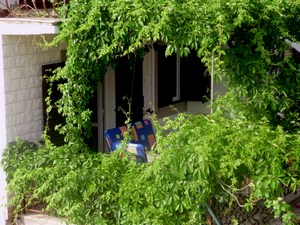 Apartmani Seget Vranjica