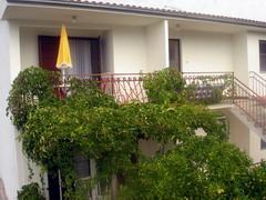 Apartmani Seget Vranjica