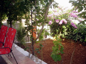 Apartmani Seget Vranjica Apartmani Seget Vranjica