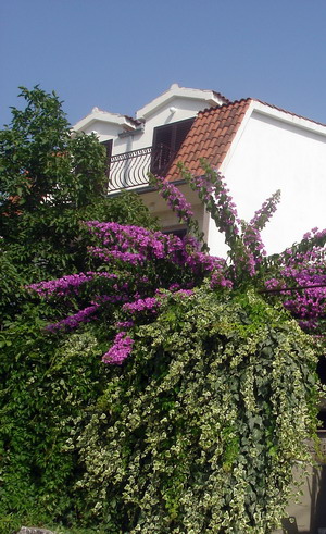 Apartmani Seget Vranjica