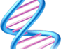 Uzvojnica DNK