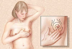 Prikaz tehnike samopregleda dojke, kružnim pokretima u smjeru kazaljke na satu