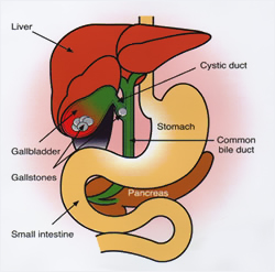 Simptomi hipertenzije žučnog mjehura